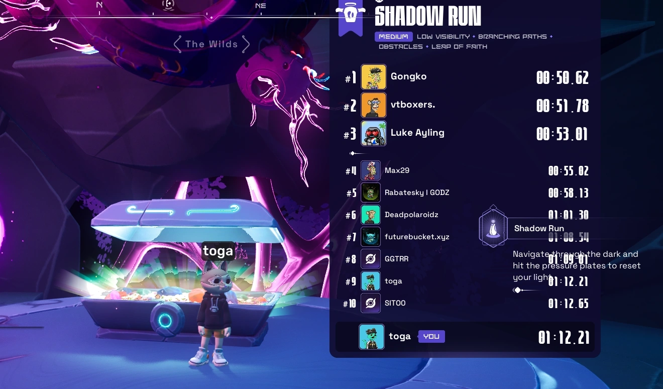 How to get top 10 on Shadow Run