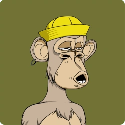 Bored Ape Yacht Club #4491