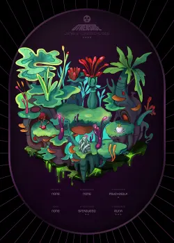 NFT