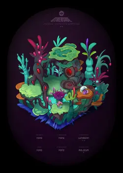 NFT