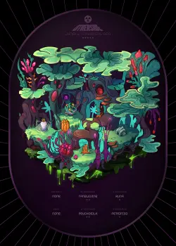 NFT