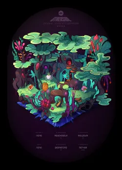 NFT