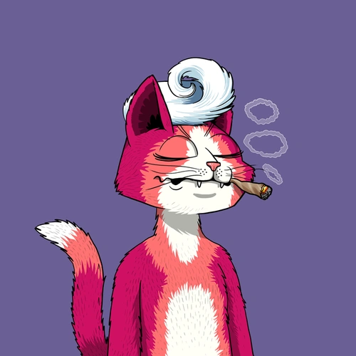 Token #4898
