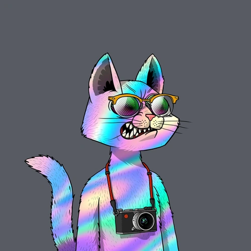 Token #2404