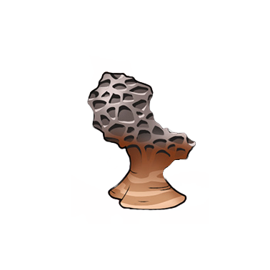 Entradium Tier 1