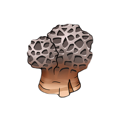 Entradium Tier 2