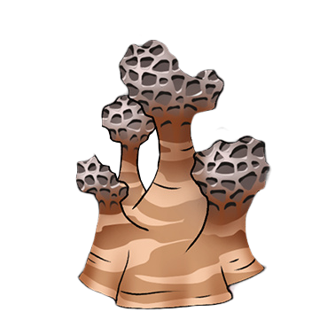 Entradium