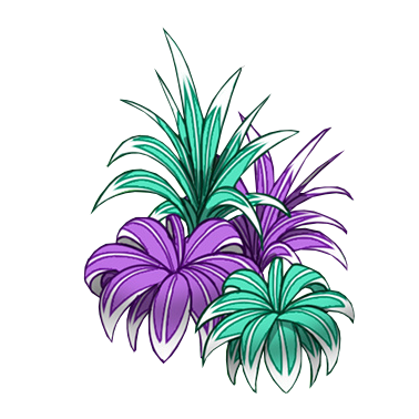 Scholara