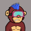 archie-apes