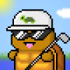 turtlez