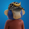 kongs
