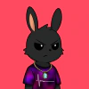 rabbits