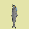 fishies