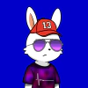 rabbits