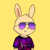 rabbits
