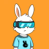 rabbits