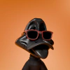 dawn-of-the-duck