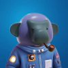 kongs