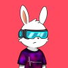 rabbits