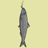 fishies