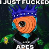 apetardio-5