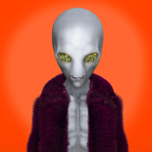 Token #533