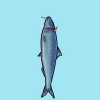fishies