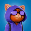 crypto-cats