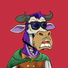 lazy-bull-club-2