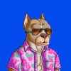 alpha-dogs