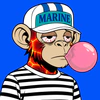 apes-on-apechain