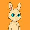 rabbits
