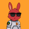 rabbits