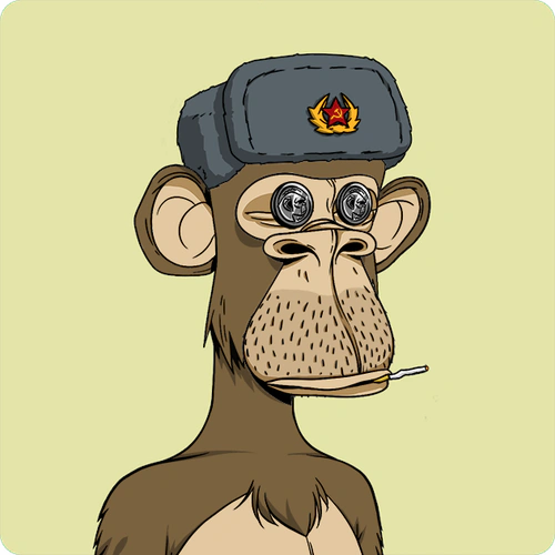 Bored Ape Yacht Club #4800 artwork