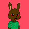 rabbits
