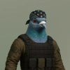 feather-syndicate