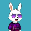 rabbits