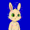 rabbits