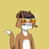 mars-cats-voyage