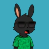 rabbits