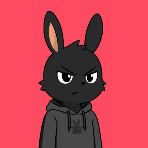 Token #255