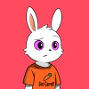 rabbits