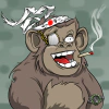minties-the-lost-gorillas
