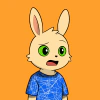 rabbits
