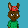 rabbits