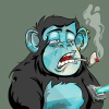 minties-the-lost-gorillas
