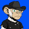 apes-on-apechain