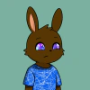 rabbits