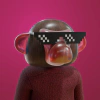 kongs