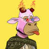 lazy-bull-club-2